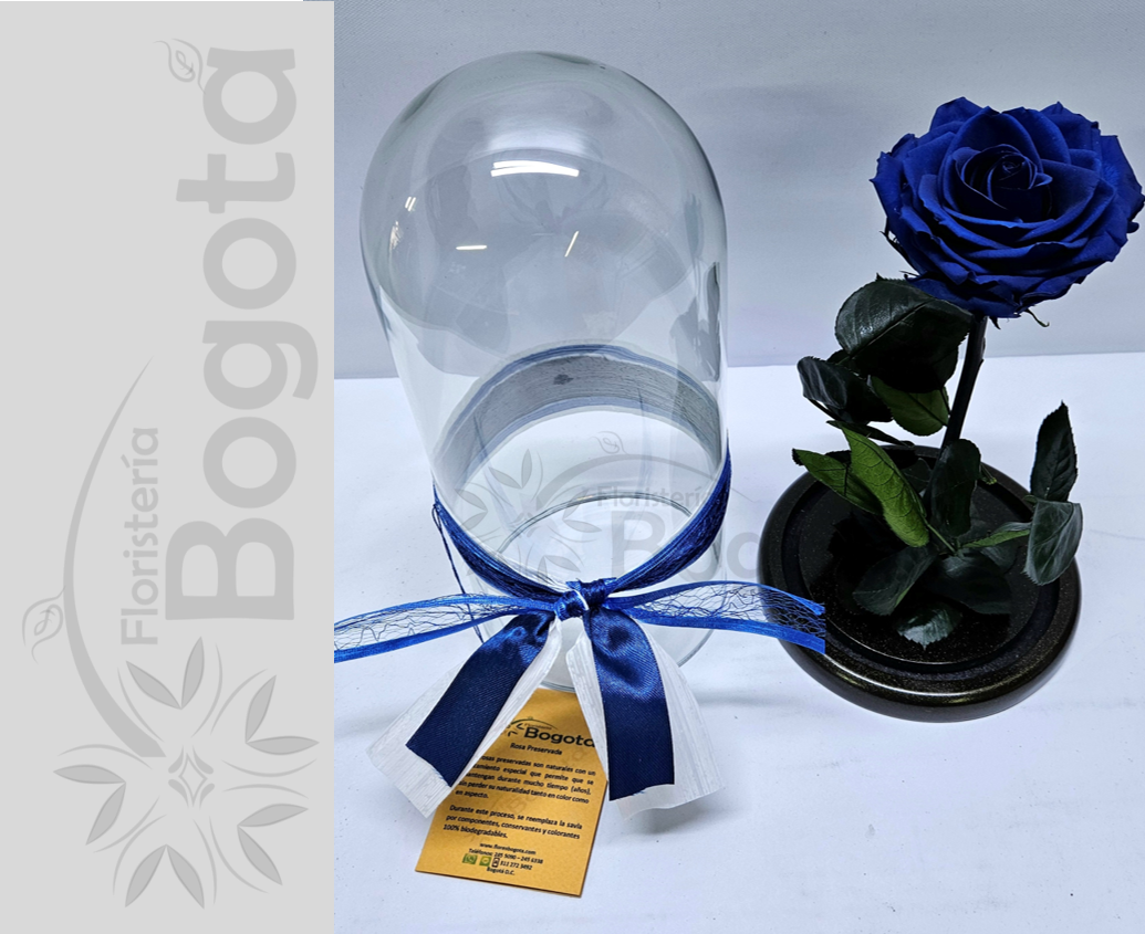 Rosa Preservada