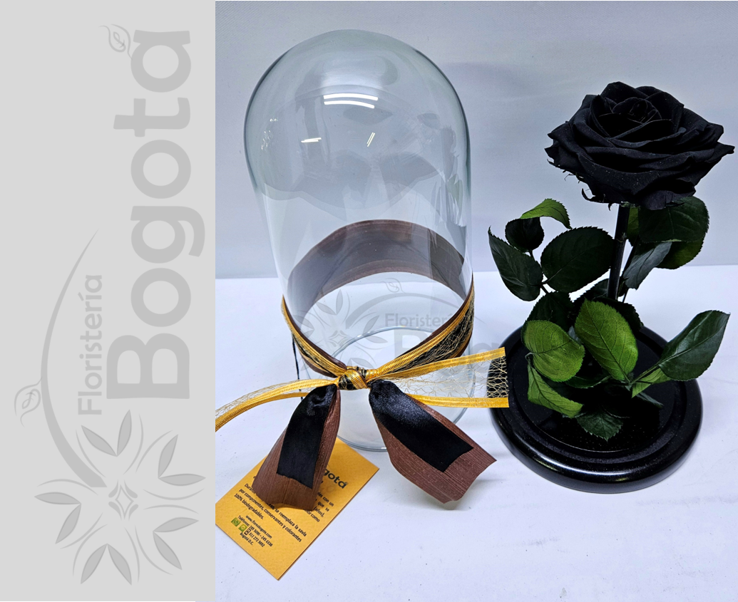 Rosa Preservada