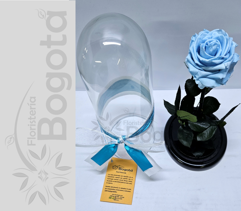 Rosa Preservada inmortalizada eterna