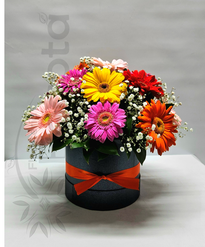 Caja con Gerberas
