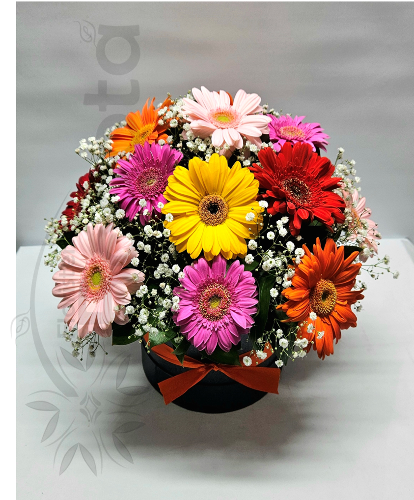 Caja con Gerberas